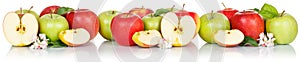 Apple fruits red and green apples banner fresh fruit isolated on white in a row