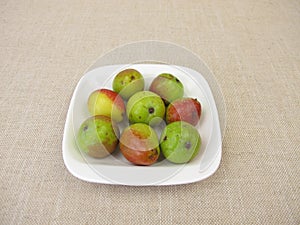Apple fruits from the sorb tree