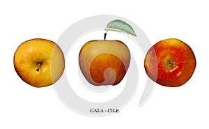 Apple Gala (Chile) isolated on white. Three points of view