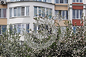 Apple garden on the background of a tall building in the city