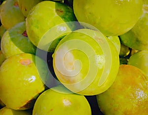 Apple gourd green vegetable food Tinda applegourds Praecitrullus fistulosus,Indian squash, round melon, Indian round gourd image photo