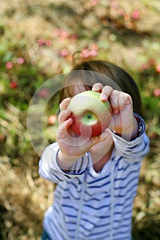 Manzana en la mano 