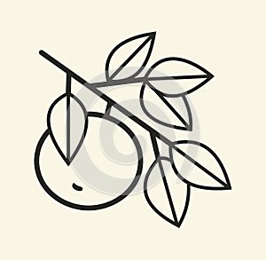 apple hangs on a branch black contour on a white background simple drawing