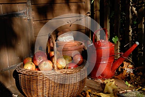 Apple harvest.