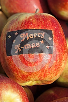 Apple harvest, Betuwe, with Merry X-mas sticker