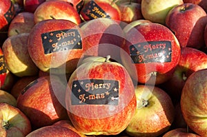 Apple harvest, Betuwe, with Merry X-mas stickers