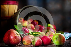 Apple Harvest Spilling out of Baskets