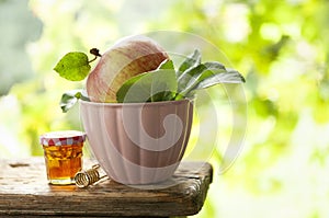 Apple and honey. Concept for Rosh Hashanah the Jewish New Year. Close up on green outdoor natural background