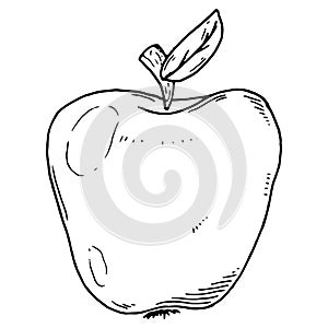Apple icon. Vector apple with leaf