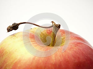 Apple. img