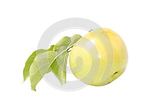 Apple with leaf