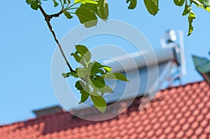 Apple leaves on focus, solar water heater