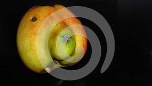 An apple with a little flaw