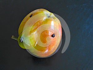 An apple with a little flaw