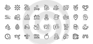Apple, Lounger and Vegetables line icons pack. For web app. Line icons. Vector