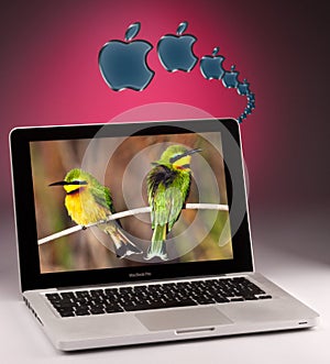 Apple MacBook Pro Laptop Computer