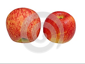 Apple, Malus domestica, seb, apel, apfel, Manzana, La Pomme, tafaha, yabloko, ringo no mi photo