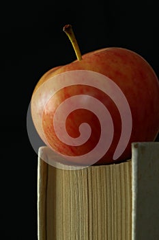 Apple and old book