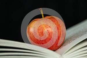 Apple and open book