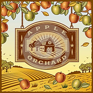 Apple Orchard photo