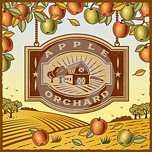 Apple Orchard