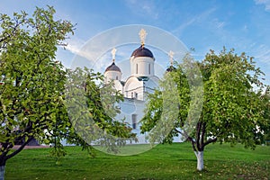 Apple orchard in front of the temple