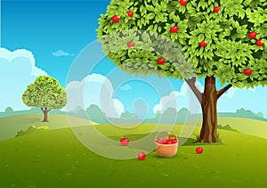 Apple orchard illustration