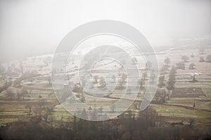 Apple orchard in late fall. First snow laid down