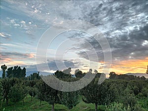 Apple orchards of Kashmir dusk view