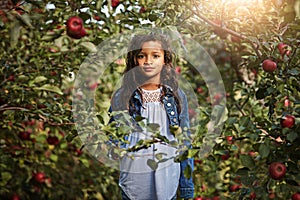 Apple orchards make cool hideouts for hide and seek. Portrait of a young girl standing amongst the foliage of an apple