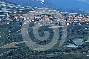 The apple orchards near Cles in Val di Non, Northern Italy