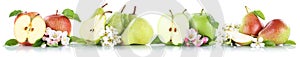 Apple and pear collection apples pears fruit fruits isolated on