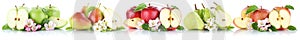 Apple and pear collection apples pears fruit sliced in a row fruits isolated