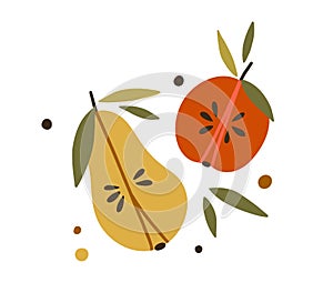 Apple and pear halves with leaf. Composition of fruit sections with flesh, seeds, stems, and leaves. Colored flat vector