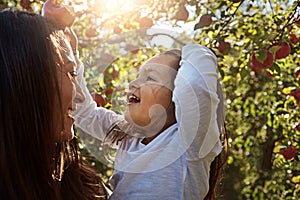 Apple picking family fun. a happy mother and daughter spending a day together in an apple orchard.