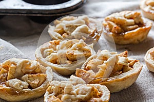 Apple pies with cinnamon and dough decoration - apple tartlets close up