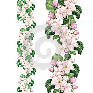 Apple pink flowers. Seamless floral border. Botanical watercolour painted edging