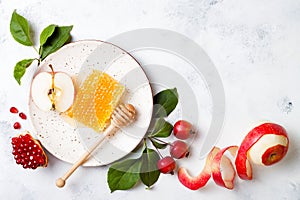 Apple, pomegranate and honey, traditional food of jewish New Year - Rosh Hashana photo