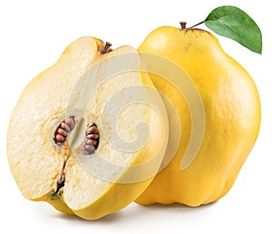 Apple-quince with leaf. File contains clipping path. photo