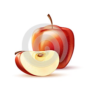 Vector realistic red apple fruit slice 3d isolated