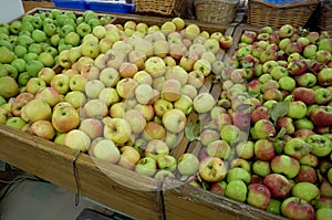 Apple red green on the shelf in the store