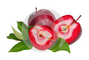 Apple red isolated