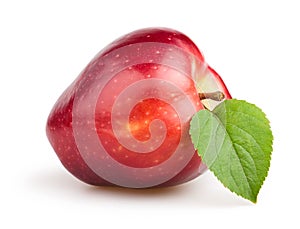 Apple red one leaf