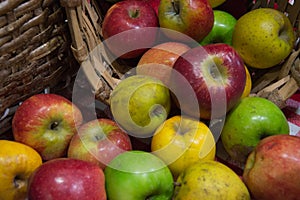 Apple, red, yellow and green in basket