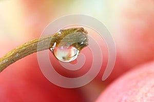 Apple Reflection on Water drop