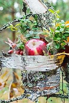 Apple and rosehip autumn still life