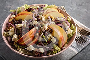 Apple salad with walnuts, pomegranate amd goat cheese.