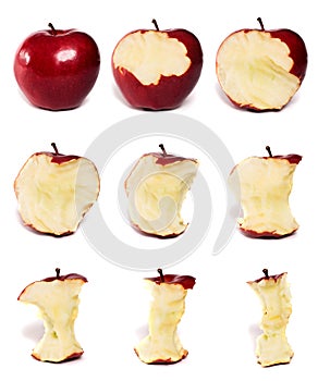 Apple Series photo