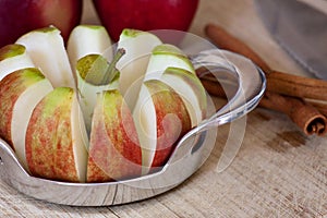 Apple Slicer Tool