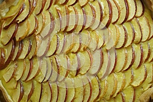 Apple slices in neat rows on a baked pie covered by a thin layer of glaze in detail